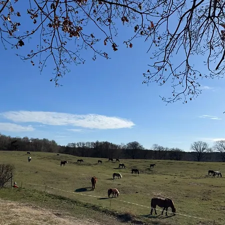 Happy Place Am Plauer * Zislow